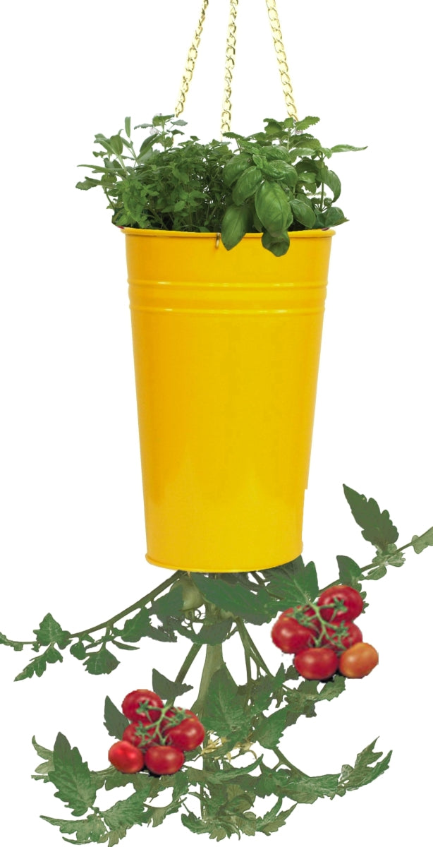 Enameled Galvanized Upsidedown Tomato Pepper Hanging Planter, Saff