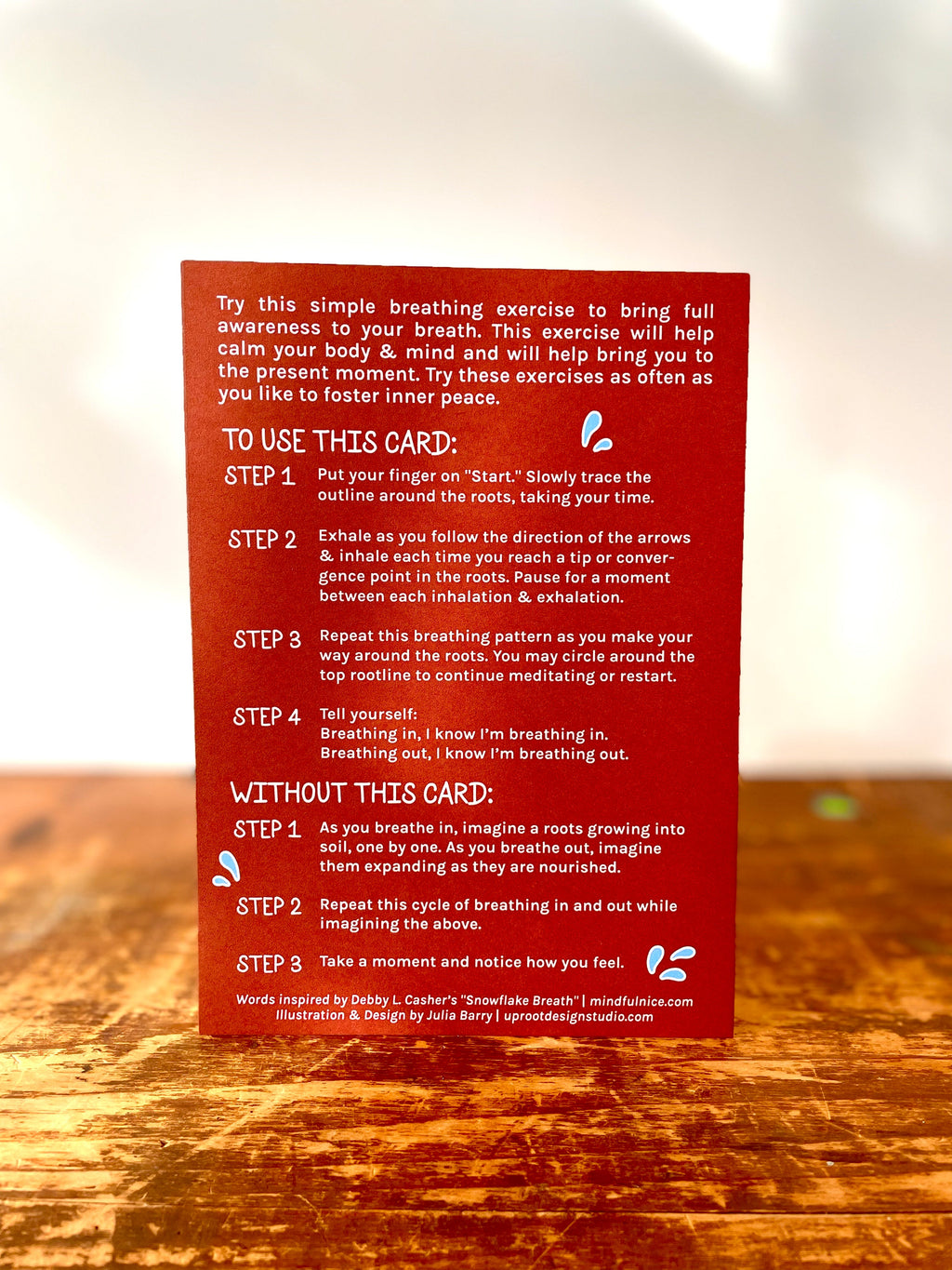 "Get Growing" Mindful Garden in a Bag Kit: Mindfulness Journal, Meditation Card + Growing Kit - (Assorted Year-Round)