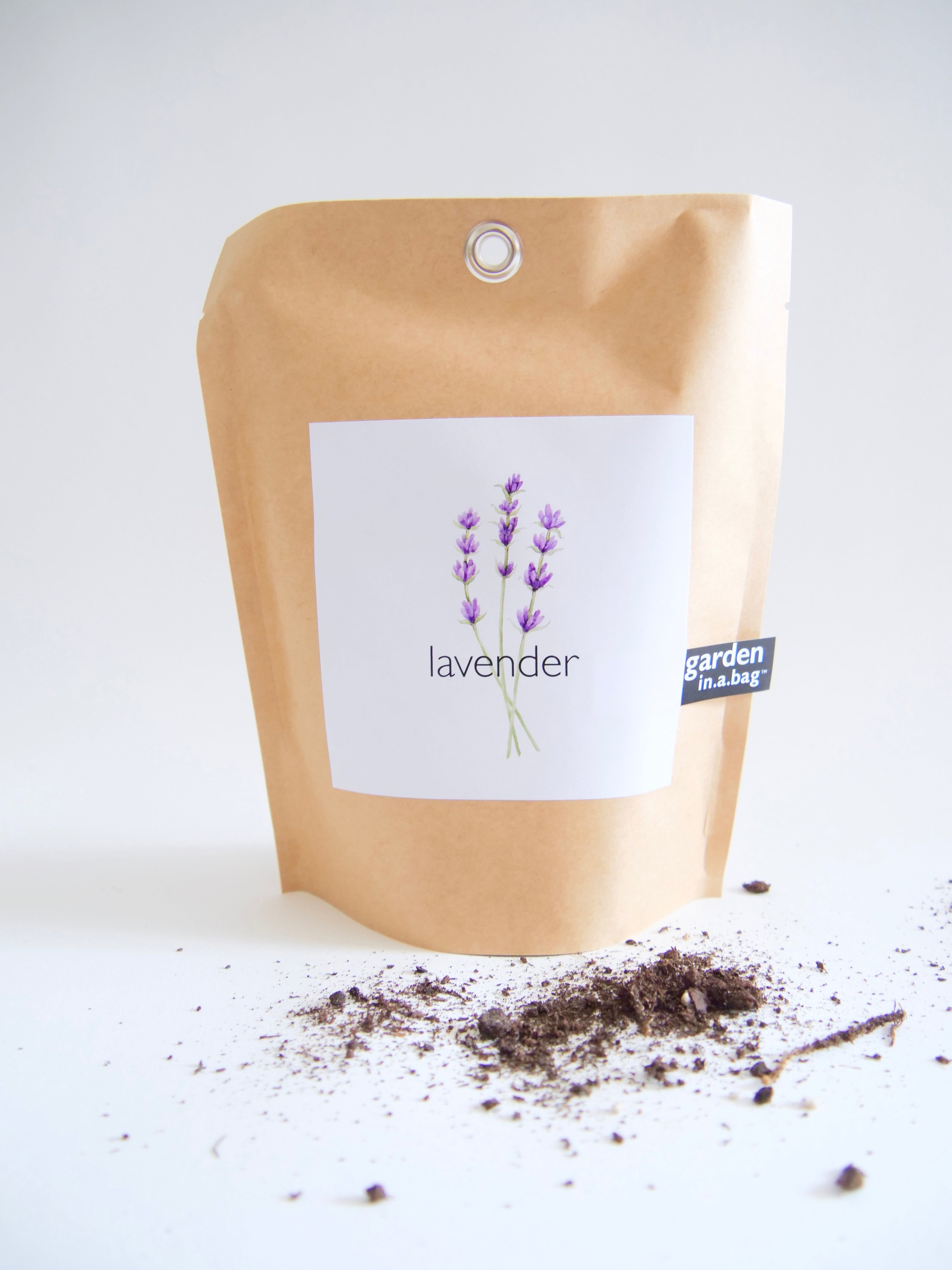 "Get Growing" Mindful Garden in a Bag Kit: Mindfulness Journal, Meditation Card + Growing Kit - (Assorted Year-Round)